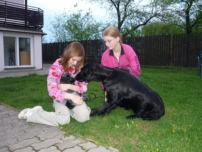 2-v novem domove 1.5.2010.jpg